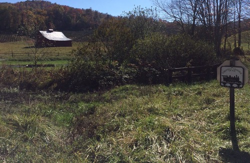 Damascus Cabin | Deer run cabin in Damascus, Virginia