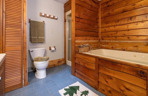 Triumph Cabin | Dog Friendly Cabin Near Starved Rock State Park