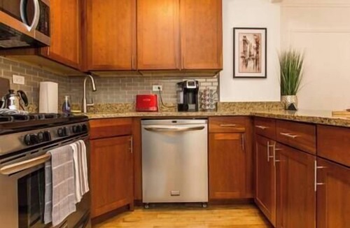 Streeterville Apartment | Downtown Gold Coast 4bd/4ba - 2 apts