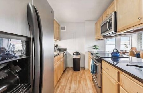Printers Row Condo | Downtown Penthouse #5 | Vintage +gym & balcony