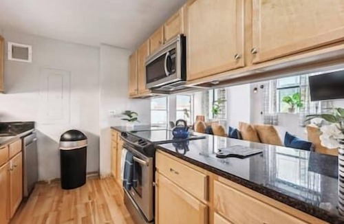 Printers Row Condo | Downtown Penthouse #5 | Vintage +gym & balcony