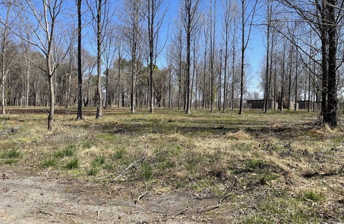 Carbondale RV Rental | Eclipse Campsites Available. Waterfront views