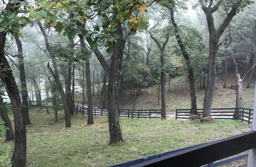 Barrington Hills House | Escape to a Private Woodland Estate