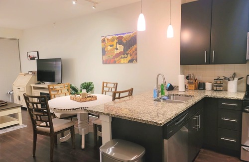 Evanston Apartment | Executively Appointed Condo, w/resort amenities, IND GAR, Pool, Gym+ Biz Lounge