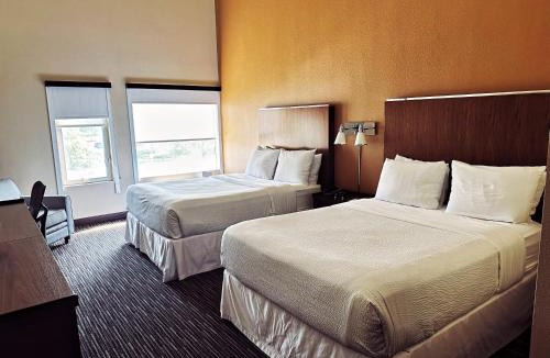 Buffalo Grove Hotel | Four Points by Sheraton Buffalo Grove