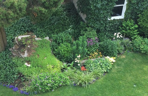 Edgewater House | Gracious, spacious vintage home in a terrific neighborhood near the lake