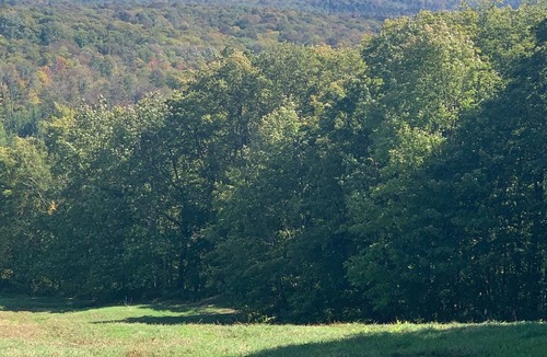 Bromley Mountain House | Great Long distance views on Bromley Mountain. Four season family/group getaway!