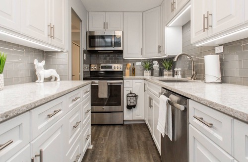 Streeterville Condo | GROUP LUX in Gold Coast FULL FLOOR 4bd/4ba+Parking