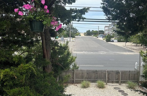 Harvey Cedars House | Harvey Cedars - great location-dog friendly! 5 star rating from previous guests