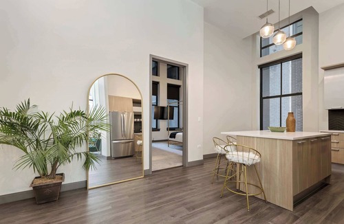 Downtown Chicago Apartment | Historic Charm + Modern Comfort for Tourists