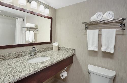 Carol Stream Hotel | Holiday Inn & Suites Chicago-Carol Stream Wheaton by IHG