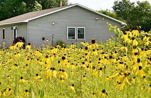 Murrayville House | House ∙ 1 bedroom ∙ 4 guests