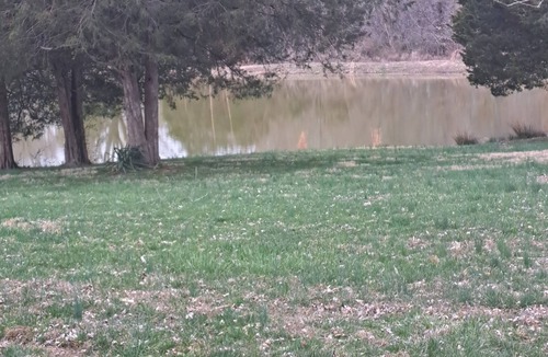 Wolf Creek Other | Hunters Paradise. in the heart of deer country.