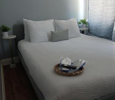 Little Village Apartment | La Villita - Gateway to Chicago