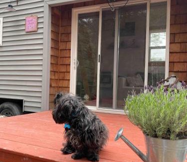 Woodridge House | Lakefront tiny home canoe fun
