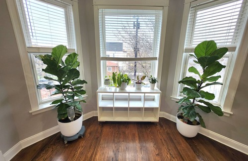 Logan Square Apartment | Large 3 bdrm/dining in the heart of Logan Square mins to DOWNTOWN