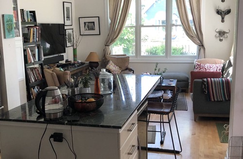 Edgewater House | Large 4 level frame home on leafy street in Chicago