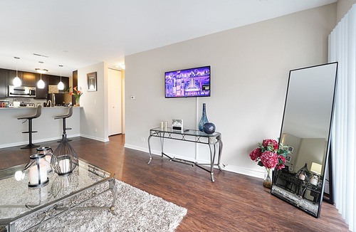 Ranch Triangle Apartment | Lincoln Park Beauty| Great Location, near beach, zoo, Northwestern Hospital