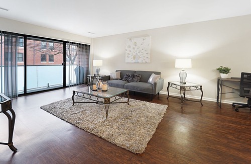 Ranch Triangle Apartment | Lincoln Park Beauty| Great Location, near beach, zoo, Northwestern Hospital