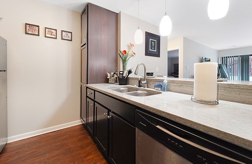 Ranch Triangle Apartment | Lincoln Park Beauty| Great Location, near beach, zoo, Northwestern Hospital