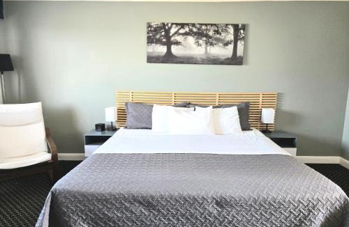 Kingston Hotel | Lord Nelson Motel