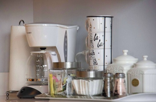 Near South Side Apartment | Luxéry Stay "Paris Themed" Downtown/McCormick/Wintrust Area
