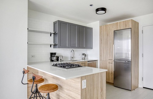 West Loop Apartment | Luxe West Loop Studio w/Gym, Pool, Coworking, walk to UIC, by Blueground