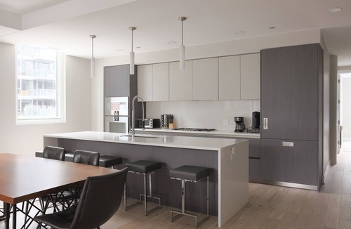 Near North Side Apartment | Luxury Loft Collection 02 - Terrace - River North