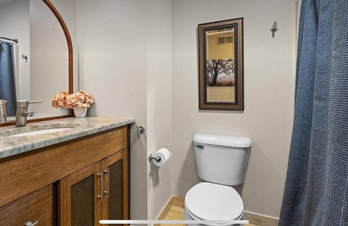 Buffalo Grove House | Luxury smart house with 4 level 2 charger
