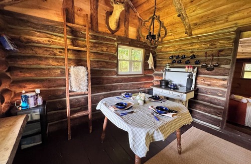 Johnsonville Cabin | Marvelous Off-Grid Log Cabin Getaway on Working Horse Ranch.