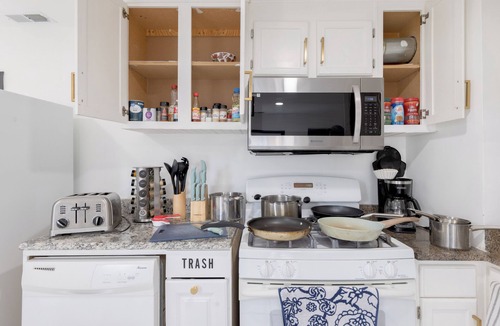Bridgeport House | Mayors Manor, Zen Garden Oasis, Hot Tub & Sauna in Central Chicago, 8-12 guests