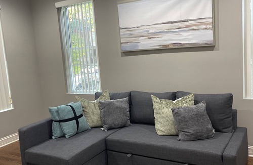 Grand Boulevard Apartment | Nice 2 bedroom 15 minutes to downtown chicago