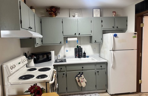 Springfield Apartment | Old Aristocracy Hill 1BR Quiet Apartment Downtown!