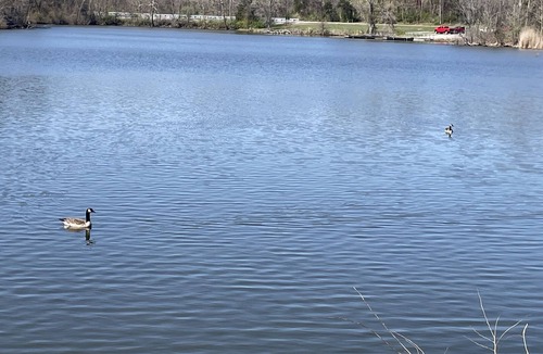 Carbondale RV Rental | PLAY PORT MARINA. Eclipse Hot Spot. Lake front campsite. North Lot parking