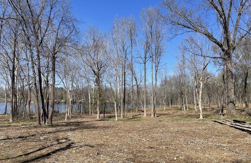 Carbondale RV Rental | PLAYPORT South camp. Eclipse Hot Spot. South Zone primitive camp sites
