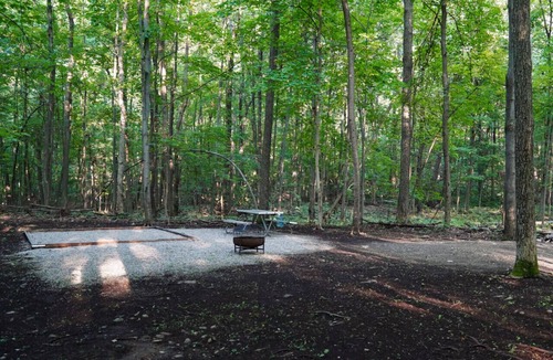 Vernon RV Rental | Primitive Camping Site