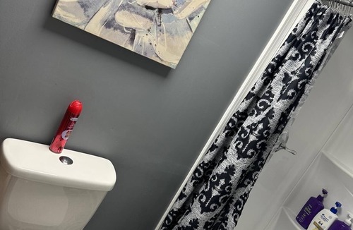 Simpson Apartment | Private master bedroom apartment with WiFi, AC in charming Carbondale