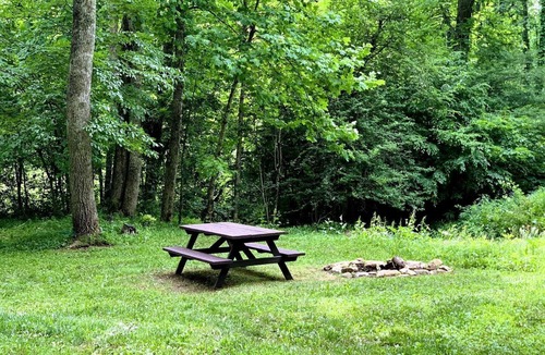 Mingo House | Relaxing Tiny Cabin with Outdoor Fire Ring in West Virginia
