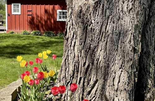 Rockton House | River House in historic Rockton, IL