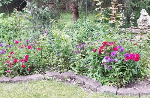Machesney Park House | Rustic country charm - secluded sanctuary close to hospitals for traveling nurse