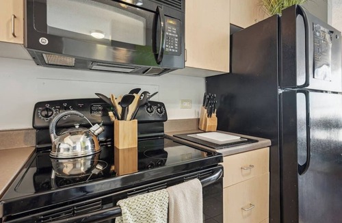 South Loop Condo | Safe Dtown Park VIEWS| Mich Ave, Museums 2bd/2ba