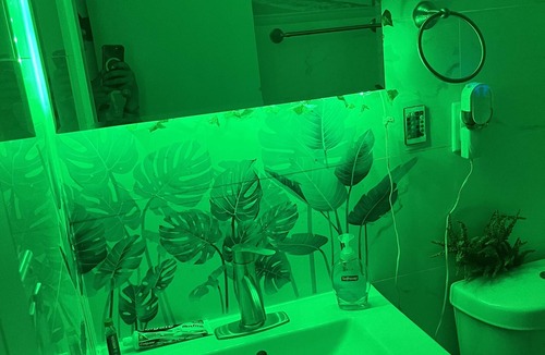 Borough Park Apartment | Serene apartment with WiFi in vibrant Brooklyn