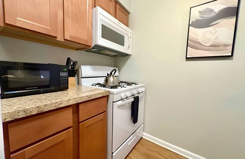 Lake View East Apartment | Simple, Comfy Living - Furnished 1BR Pad