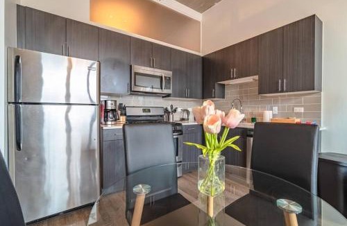 Near South Side Apartment | Skyline 2BR in South Loop with Optional Parking & Gym Access Near Museum Campus and McCormick Place
