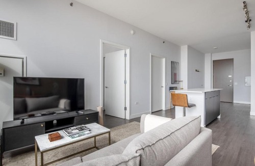 The Loop Apartment | South Loop 1br w gym game room nr top schools CHI-988