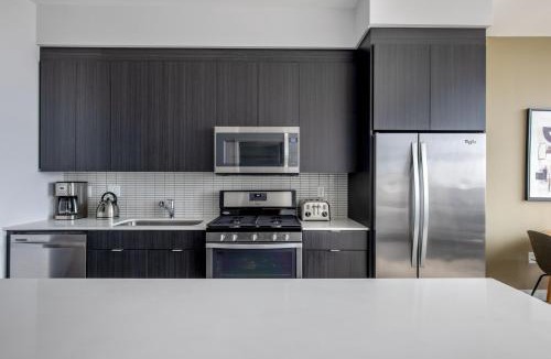 The Loop Apartment | South Loop 1br w gym game room nr top schools CHI-988