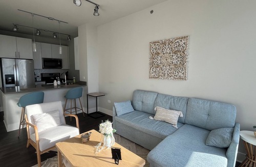 The Loop Apartment | Spacious 1 bd sleeps 4 quiet and near Michigan Ave. free gift