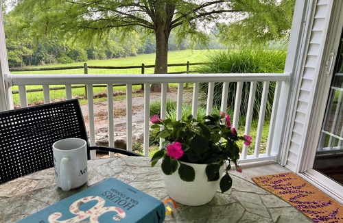 Goreville House | Spacious Cabin with Beautiful Sunsets in the Heart of Hiking and Wine Country