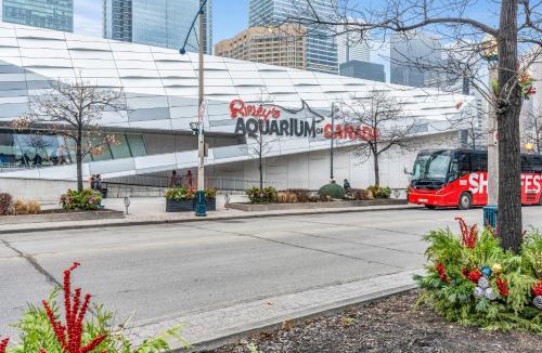 CityPlace Apartment | Spadina Modern suites