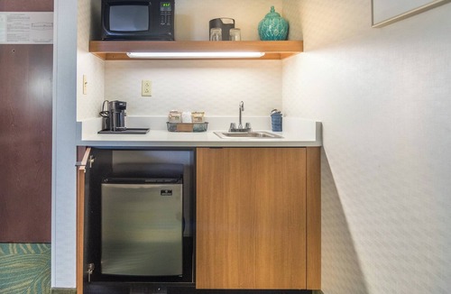 Elmhurst Hotel | Springhill Suites by Marriott Chicago Elmhurst/Oakbrook Area